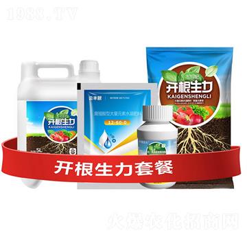 開根生力套餐E-云大科技
