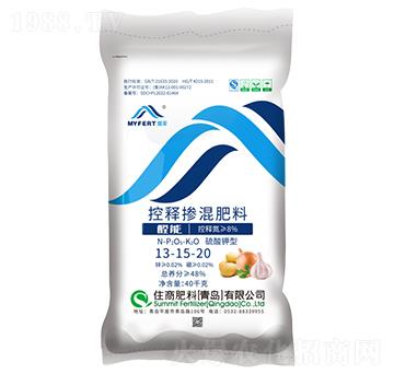 ���S��ጓ����13-1