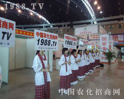 �r(n��ng)�����̾W(w��ng)�ԏ�(qi��ng)��ěQ�ĺ�����ƴ���������r(n��ng)�Y��(hu��)