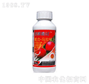 �G��20%����-�R��������