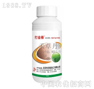 ���r����-����