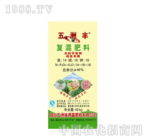 �����S-����ӻ����Ïͻ��