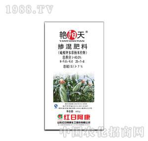 �t�հ����G���25-7-8���£�