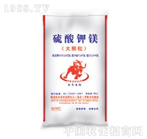 ���-�������