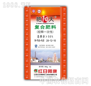 �G���-50%�ͺϷ���