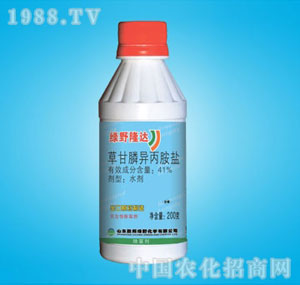 �ٰ�-�GҰ¡�_