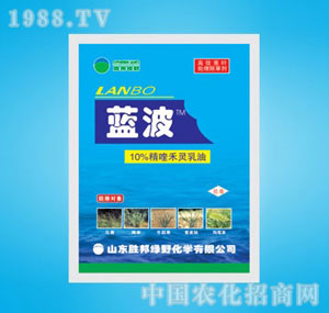 �ٰ�-10%�{��