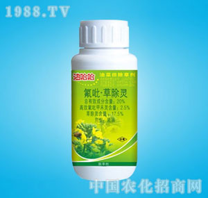 �ٰ�-�͹���