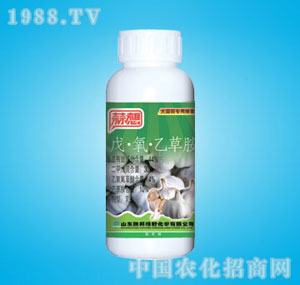 �ٰ�-����