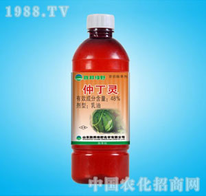 �ٰ�-48%�ٶ��`