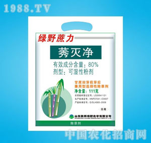 �ٰ�-80%����