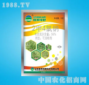 �ٰ�-2��4��