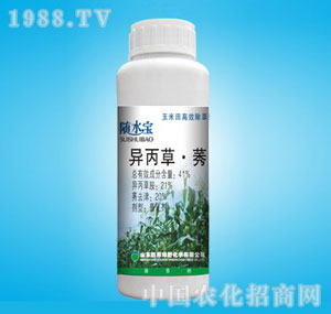 �ٰ�-41%�Sˮ��