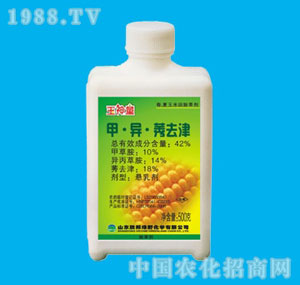 �ٰ�-����ͯ