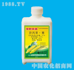 �ٰ�-41%�GҰ��ݬ