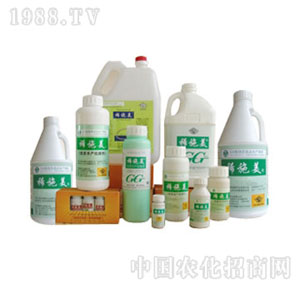 ����-���Ϲ����~���