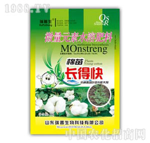 ������-�����L�ÿ�