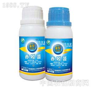 ����-�����|(��ؐ)