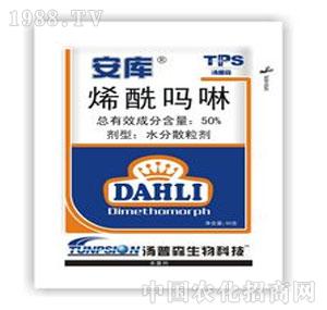 ����ˎ�I(y��)-����